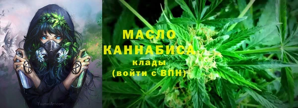 mdpv Елабуга