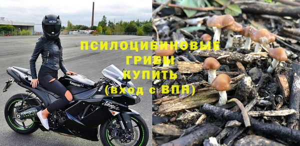 mdpv Елабуга