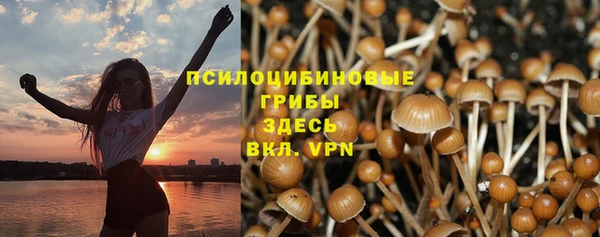 бошки Елизово