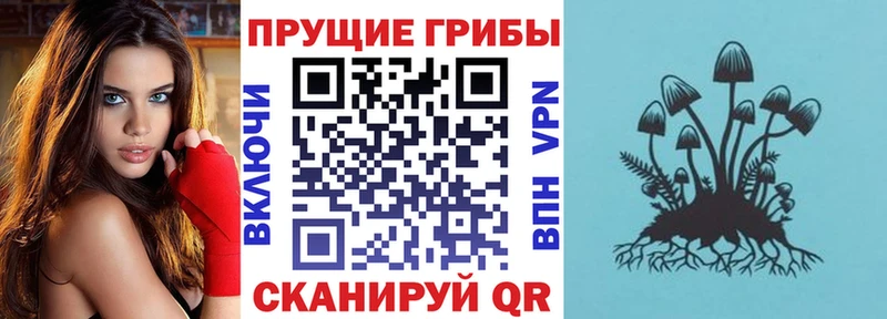 ссылка на мегу ссылки  Салават  Галлюциногенные грибы Cubensis 